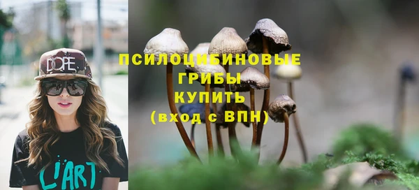 прущие грибы Гусь-Хрустальный