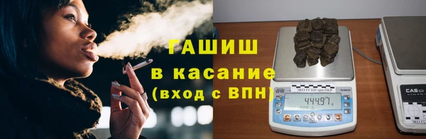 прущие грибы Гусь-Хрустальный