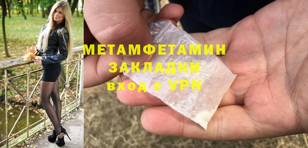 прущие грибы Гусь-Хрустальный