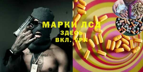 прущие грибы Гусь-Хрустальный