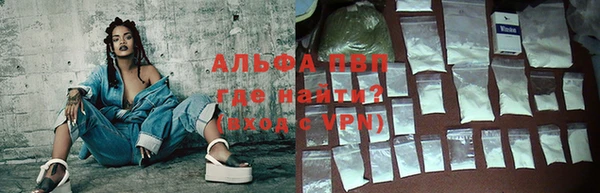 прущие грибы Гусь-Хрустальный