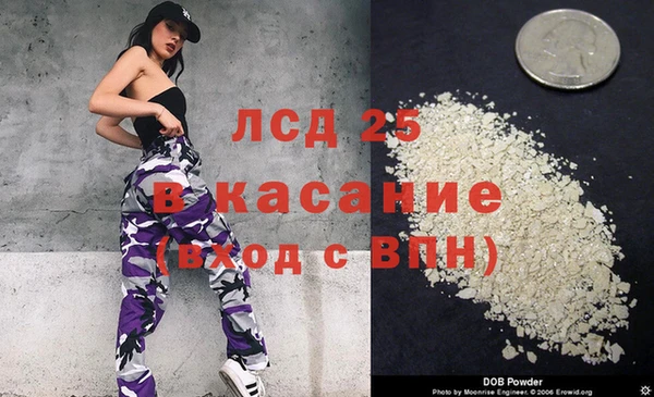 прущие грибы Гусь-Хрустальный