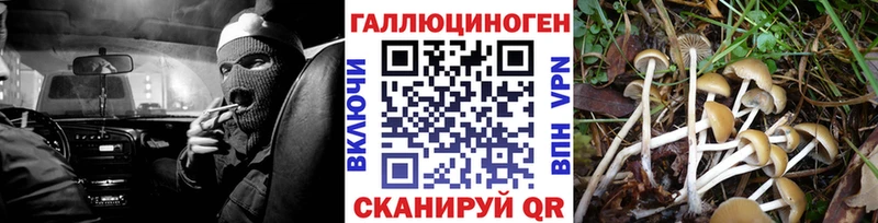 Псилоцибиновые грибы Psilocybine cubensis  Купить закладки  Полярные Зори 